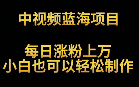 中视频蓝海机遇：英雄人物故事解读，小白轻松实现每日万粉增长，月入过万实战攻略大揭秘