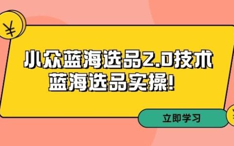 拼多多精选课程第33期：深度解析小众蓝海2.0选品技巧 - 蓝海市场实战攻略！