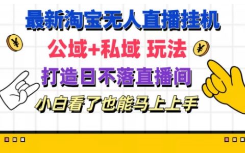 淘宝挂机无人直播新玩法：公域私域结合，打造24小时不间断直播间，小白快速入门指南【深度解析】