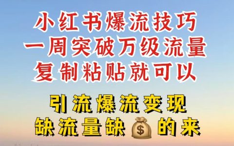 小红书引流新招式：7天突破万级流量，一键复制粘贴，实现快速爆流与变现【实操秘籍】