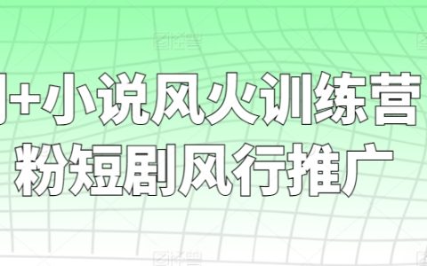 零粉丝起步，短剧小说风华训练营——快速走红推广策略全解