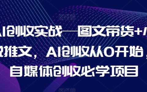 AI变现攻略：图文小说推广全教程，零基础自学AI赚钱法，自媒体增收热门项目实操