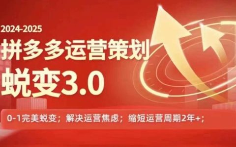 2024-2025拼多多运营策略升级3.0：从0到1的完美转型，轻松应对信息焦虑的解决方案