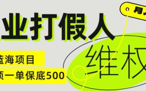 职业打假人揭秘：电商维权新模式，一单保底500元，全新冷门暴利项目揭秘