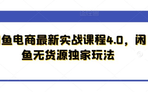 闲鱼电商实战4.0：揭秘独家无货源运营策略，打造高效电商盈利新模式