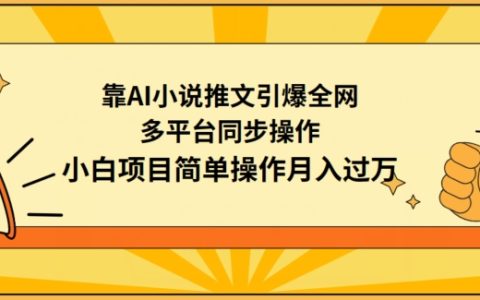 AI小说推广引流绝技：多平台同步运营，小白也能月入过万