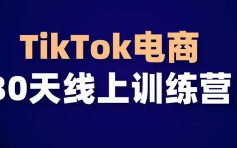 TikTok电商变现30天培训课程，抓住全球流量红利，错过就是遗憾！