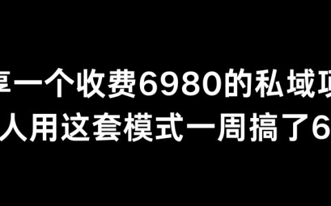 分享一个外面卖6980的私域项目,三人团队如何仅用一周时间，通过私域运营策略实现6万+收益的秘密