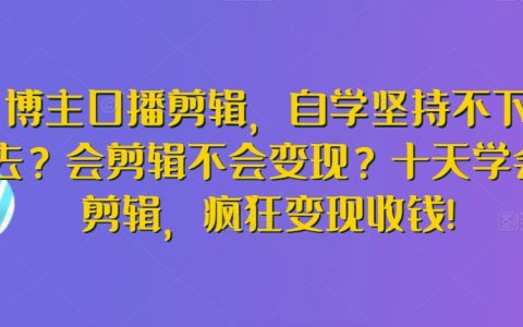 口播剪辑达人速成：告别自学困扰，十天精通剪辑技巧，实现快速变现盈利【实战教程】