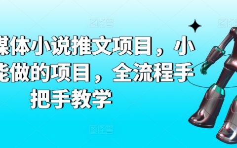 AI助力自媒体小说推广项目，零基础也能轻松操作，从入门到精通全程指导【教程分享】