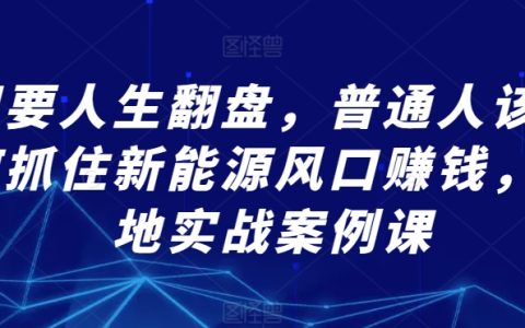 新能源财富机遇：普通人翻盘攻略与实战案例解析