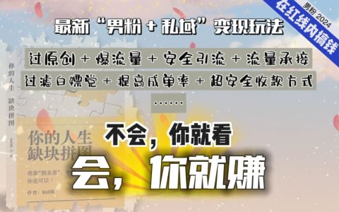 2024 年，‘男粉+私域’仍是最稳健、最赚钱、最轻松、最愉快的变现途径【深度揭秘】