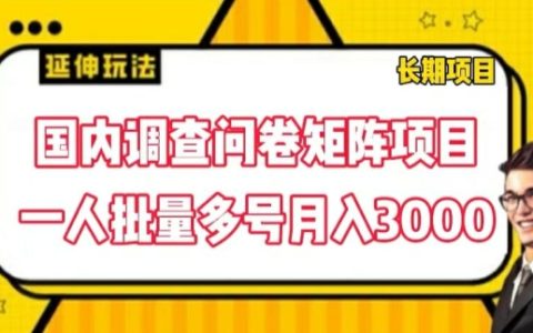 国内问卷矩阵项目揭秘：批量操作多账号月入3000实战技巧