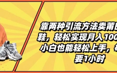 月入过万攻略：小白轻松卖莆田高端鞋，仅需1小时/天，揭秘两种高效引流技巧