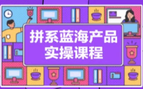 拼多多冷门蓝海产品实战课程，从开店注册到选品上架到流量管理一站式教学【深度剖析】