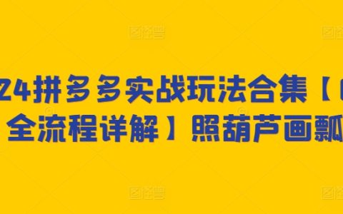 2024拼多多运营实战攻略，从零到一全程解析【照猫画虎技巧揭秘】