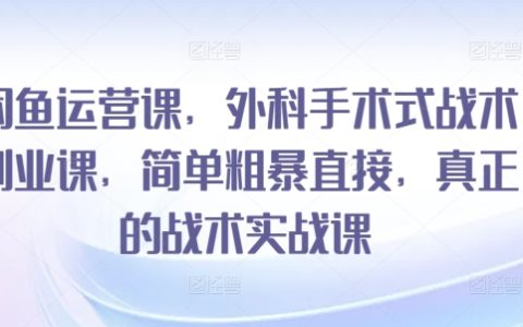 闲鱼赚钱攻略：精准外科手术式战术，简单直接创业实战课程，告别理论唯有实战