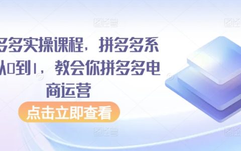 拼多多电商运营实战课程，从零基础到精通全流程，掌握拼多多店铺经营技巧