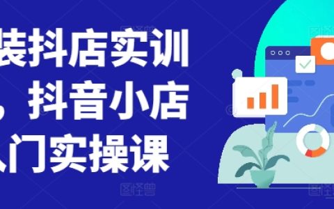 抖音童装小店实训营：新手入门实操课程