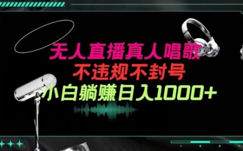 抖音24小时音乐直播新玩法：不违规纯撸音浪，小白实操日入1000+【揭秘】