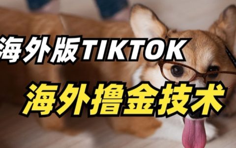 揭秘TikTok海外撸金技巧：抓住行业风口，轻松盈利