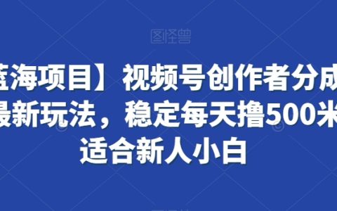 【蓝海项目揭秘】视频号创作者分成的全新玩法，稳定每天赚 500 元，新人小白轻松上手