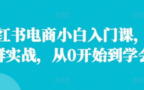 小红书电商新手教程，店铺批量运营实操，零基础学起至精通全流程