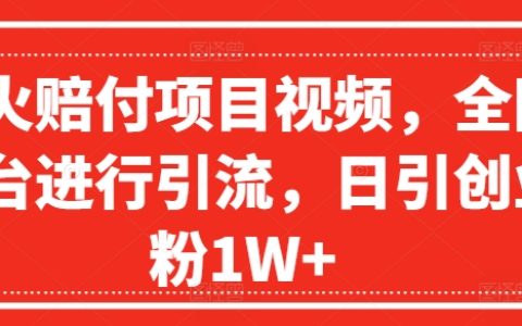 赔付项目视频爆红策略，多平台引流技巧解析，每日引流创业粉高达1W+