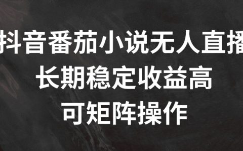 揭秘抖音番茄小说无人直播盈利：长期稳定收益高，轻松实现矩阵操作