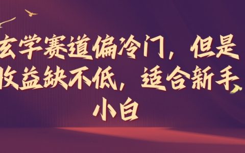 冷门领域高收益揭秘：新手小白也能掌握的冷门高收益项目曝光