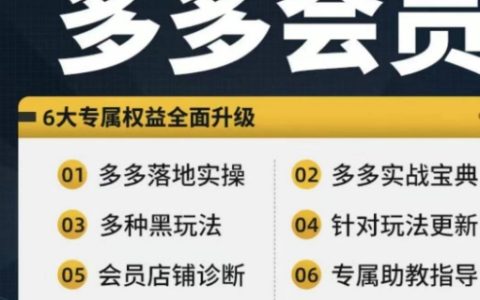 拼多多会员专享：实战攻略宝典，新手入门至高阶技巧，实操教学全方位解析