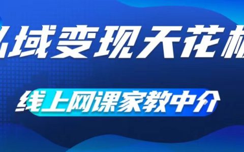 私域流量变现秘籍：网课家教平台搭建，专注渠道与流量管理，大学生资源高效利用，零成本月入过万【深度解析】