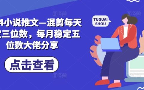 2024年小说推广达人揭秘：日入三位数，月入五位数混剪技巧，行业大佬实战分享