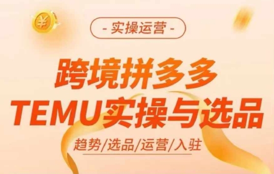 跨境拼多多TEMU实操与选品，多多temu跨境选品运营实操