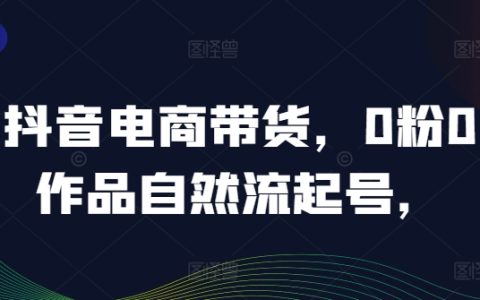 抖音电商新手爆单攻略：零粉丝、零作品起号,热销20多万人的抖音课程的经验分享