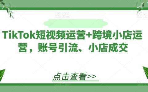 TikTok短视频营销实战：跨境电商店铺引流与提升成交率攻略