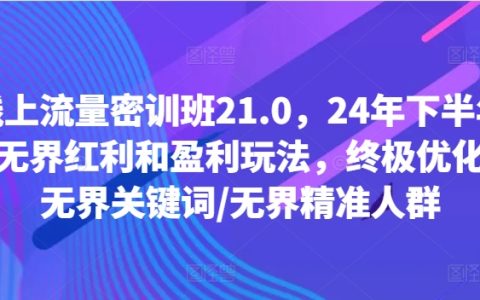 2024下半年线上流量增长策略特训：无边界红利与盈利模式揭秘，深度优化技巧、关键词优化与精准用户群构建