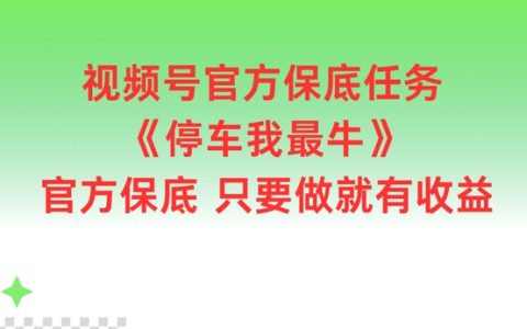 视频号官方保底任务大揭秘：停车我最牛，轻松做就有收益