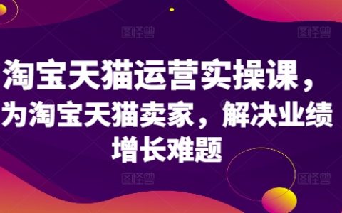 淘宝天猫卖家实战攻略：业绩增长难题解决方案与运营实操技巧