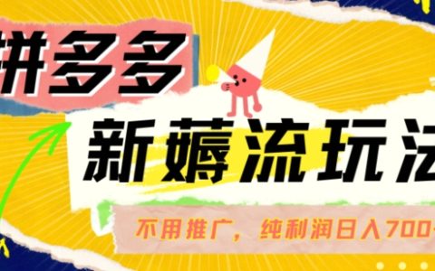 拼多多潮流赚法曝光：零成本自然流量运营，单笔利润超50，日收入突破700【独家解析】