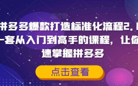 拼多多爆款攻略2.0：从新手到大咖的进阶课程，快速精通拼多多爆款打造全流程