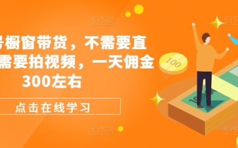 无需直播与视频制作，视频号橱窗轻松赚钱，日赚佣金300+高效攻略