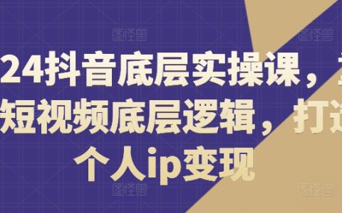 2024全新抖音实战教程：重构短视频核心法则，助力打造个人IP实现盈利