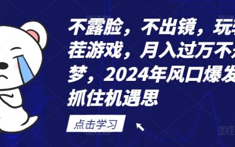 2024年找茬游戏新趋势：非出镜玩法，轻松月入万元，抓住行业爆发机遇【深度解析】