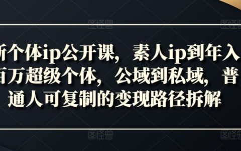 打造个人品牌：零基础素人如何晋升年入百万超级个体，公域流量到私域转化，普通人高效变现策略详解