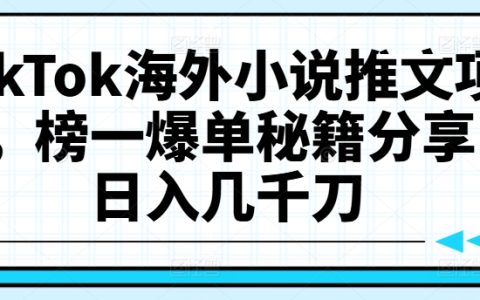 【TikTok国际版小说推广策略揭秘】：掌握爆款推文技巧，实现日收益数千美元的秘诀