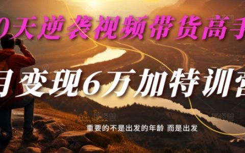 30天快速进阶视频直播带货专家：单月营收6万+特训计划 - 麦子甜