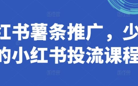 独家揭秘：小红书薯条推广攻略，高效投流课程助你快速吸粉