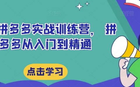 最新拼多多实战训练营，从新手到高手的全链路成长指南