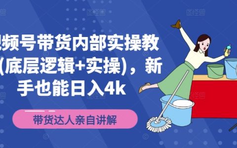 视频号带货实战宝典：揭秘底层逻辑与实操秘诀，新手快速上手日赚4000攻略